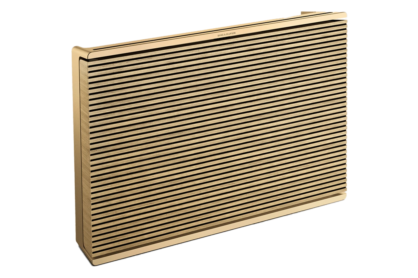 Bang & Olufsen Beosound Level – Pair of Portable Wireless Speakers