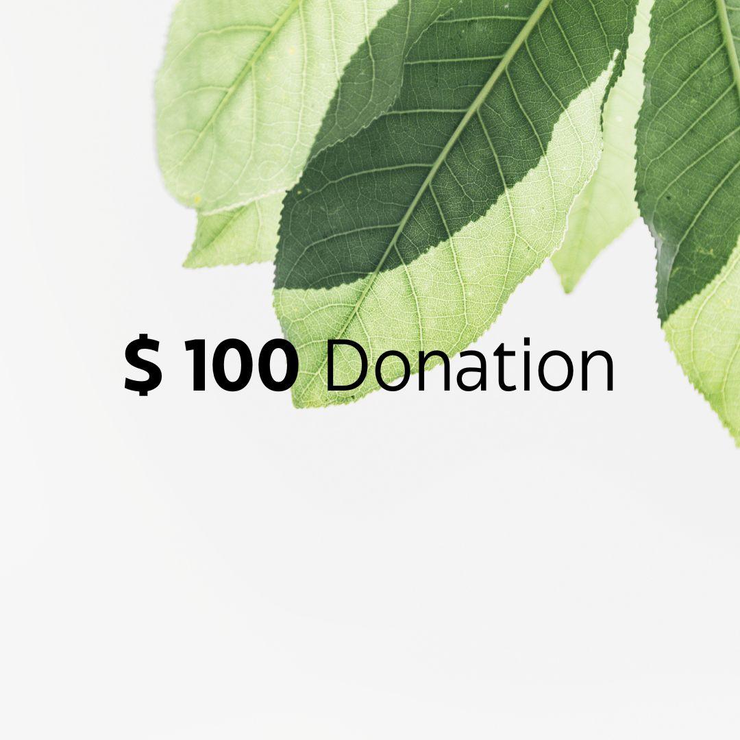 $100 Donation