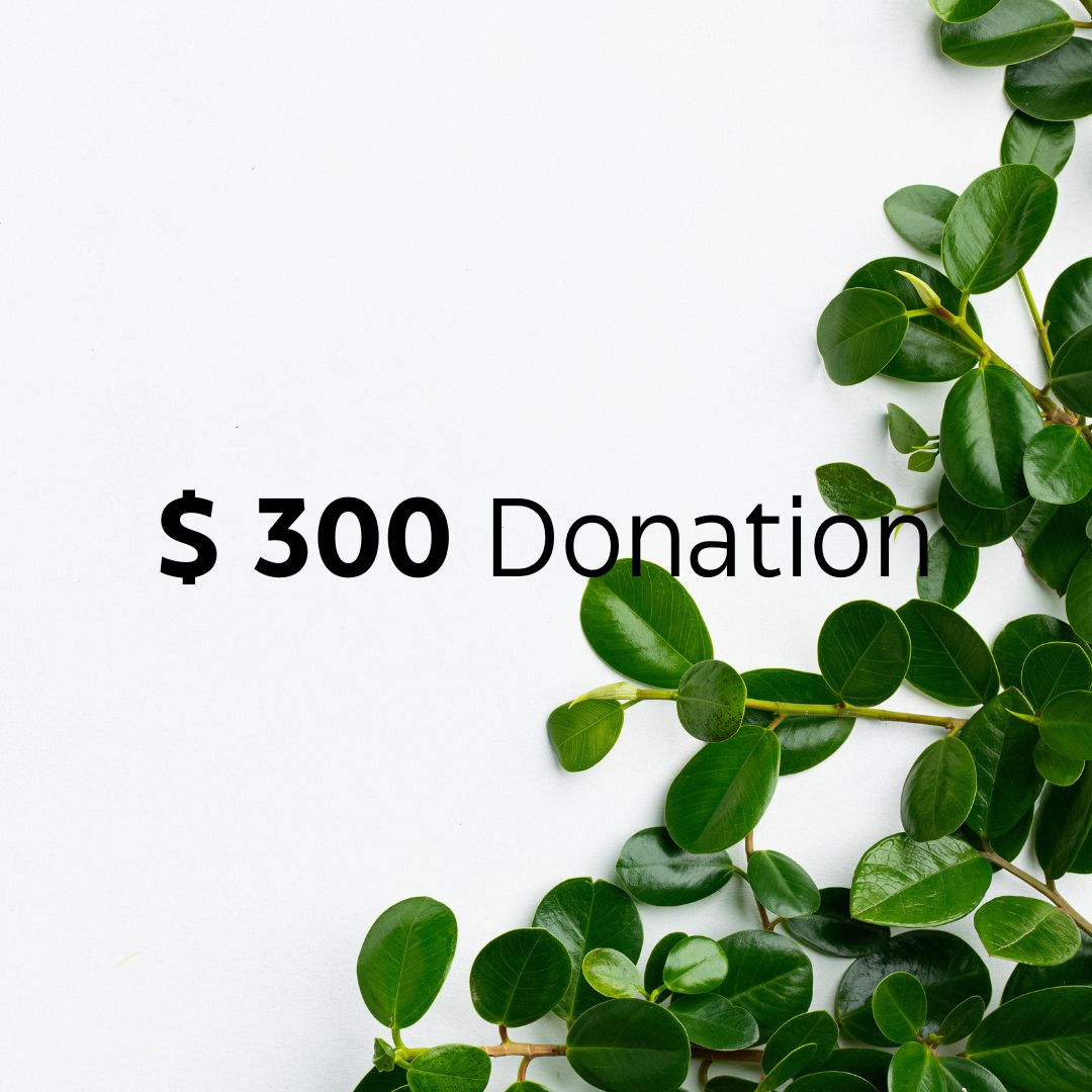 $300 Donation