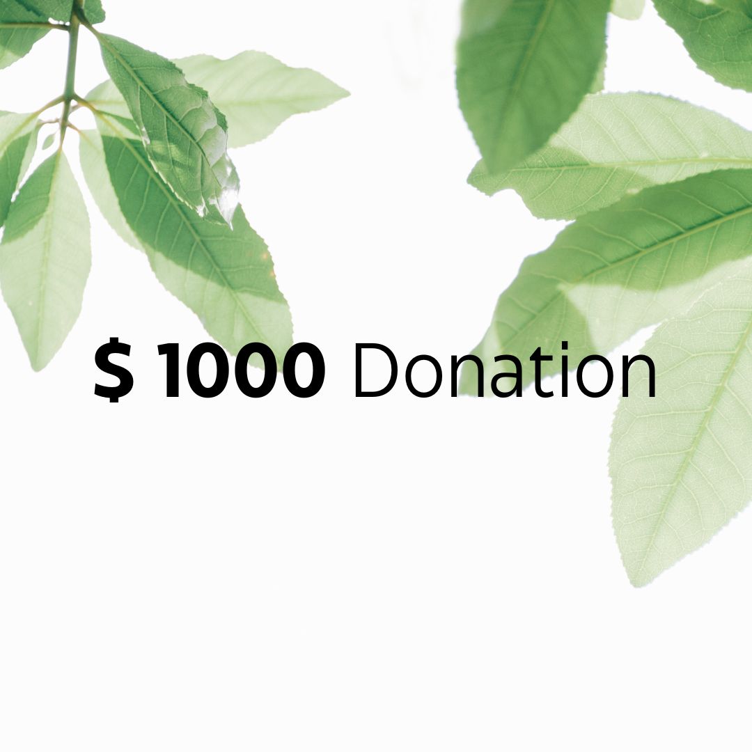 $1000 Donation